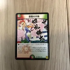 2026年最新】蒼龍の大地の人気アイテム - メルカリ