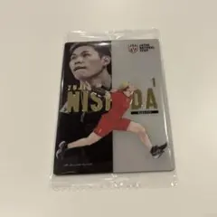 西田有志 バレーボール日本代表 カード