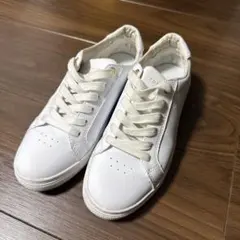 Item thumbnail for item f47f08d7-572e-4c81-ac53-6c652ca4db9f