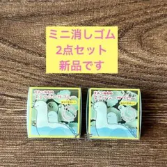 すみっコぐらし すみっ湖お土産消しゴム 2点セット とかげ ミニ消しゴム 新品