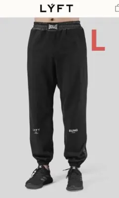 【希少】LYFT EVERLAST SUNGコラボ　darc sport