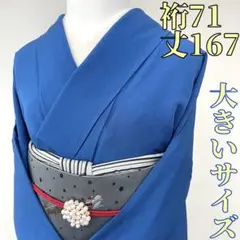 あやちん様専用です❣️ 【着物と帯 時流】I25968s◆正絹 色無地◆