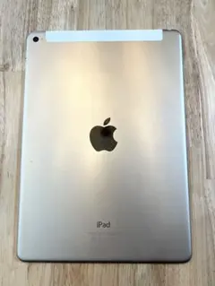 iPad Air 2 ゴールド セルラー A1567 初期化済み 容量不明