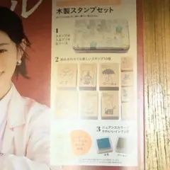 リンネル　4月号　増刊　ムーミンとその仲間たちが集合　木製スタンプセット