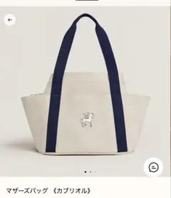 バーニーズニューヨーク マザーバック キャンバス ディモワ バーニーズニューヨーク マザーバック キャンバス ディモワ - メルカリ