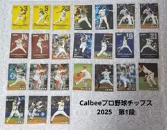 Calbeeプロ野球チップス2025第1段　24枚セット販売