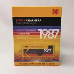 Item thumbnail for item 9b0540c9-2583-491a-aa9a-314a1752d2e4