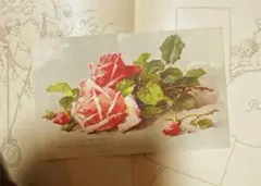 カーネーション かすみ草 アメリカンフラワー ディップフラワー