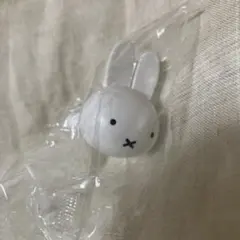 Item thumbnail for item 00654539-d4bc-48a5-8a62-fdbbb0863e2e