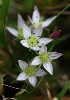 ウーリーさん様 リクエスト 2点 まとめ商品