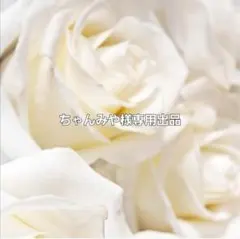 ちゃんみや様専用出品