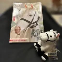 2026年最新】競馬 ぬいぐるみ ソダシの人気アイテム - メルカリ
