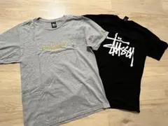 ステューシーSTÜSSY Tシャツ 2枚セットステューシー　guam限定品