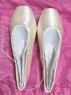 ゲイナーミンデン