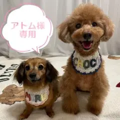 アトム様専用 ご購入ページ