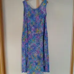 ブルージンジャー