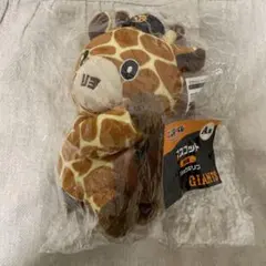 ジャイアンツ　エニマイくじ　ショウキリン