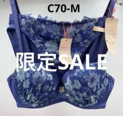 新品　トリンプ 夢みるブラ ブラ＆ショーツセットC70-M