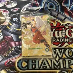 ありょん♪様 リクエスト 2点 まとめ商品