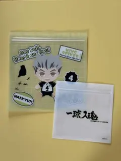 あこち様 リクエスト 2点 まとめ商品