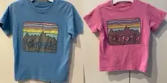 パタゴニアTシャツ(kids) 2枚セット