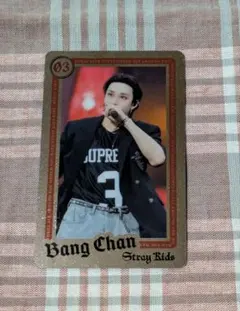 StrayKids ライブフォトカード バンチャン