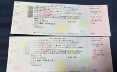 TGS 東京ゲームショウ 2026 9月19日 ペア 匿名チケット