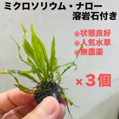 ハッシー様 リクエスト 3点 まとめ商品