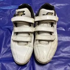 Item thumbnail for item 947ab519-60b7-4d06-aeab-c95c05ad6a40