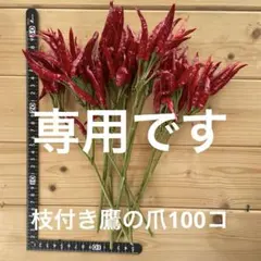 waku waku flower様専用　枝付き鷹の爪100コ4セット