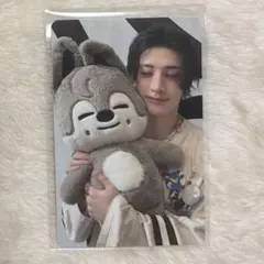 straykids スキズ SKZOO トレカ TINCASE バンチャン　匿名