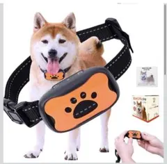 Item thumbnail for item bbc071d6-ecca-483d-8011-b8e15537db7e