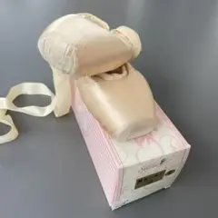 バレエ シルビア 舞セシオン 22cm E