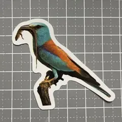 【CCC-13】防水ステッカー 動物 アニマル 鳥 トリ bird カラフル