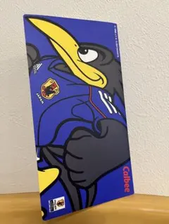 2001年2002年カルビーサッカー選手カード&日本代表アルバムセット