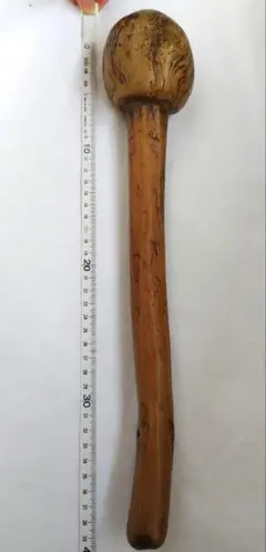 Item thumbnail for item 70fec7ef-929a-4d4b-ae9a-1f930649e0a6