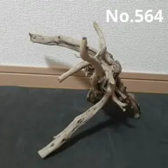 2026年最新】ブランチウッドの人気アイテム - メルカリ