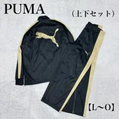 PUMA ジャージ セットアップ メンズ ブラック ゴールド ロゴ XL