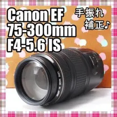 2026年最新】EF 75-300mm F4-5.6 isの人気アイテム - メルカリ