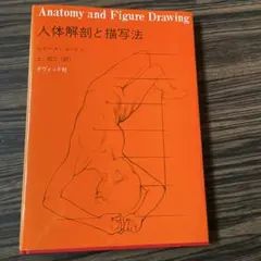 Anatomy and Figure Drawing 人体解剖と描写法