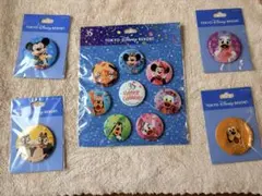 【最終値下】東京ディズニーリゾート 35周年 缶バッジセット