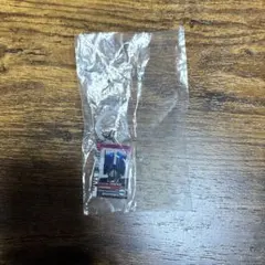 仮面ライダーディエンド めじるしアクセサリー