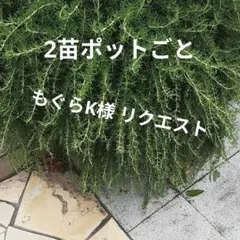 もぐらK様 リクエスト 4点 まとめ商品