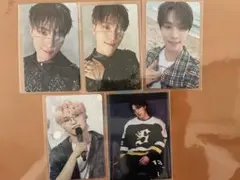 SEVENTEEN ディノ トレカ