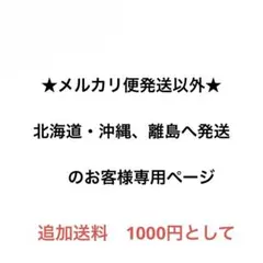 ★メルカリ便発送以外★ 北海道・沖縄、離島へ発送のお客様専用ページm(_ _)m