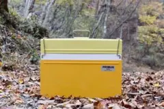 超激レア！ イワタニ プリムス IP2222 真鍮製 ツーバーナー Evergreen（音丸の90年代キャンプスタイル）:やっぱりIP-2222は