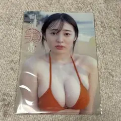 Item thumbnail for item 1bcc205b-90ea-4166-a49a-4edf386e0025