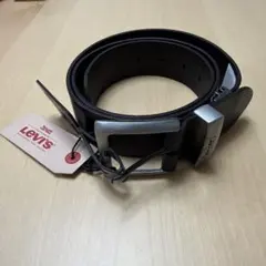 ラルフローレン ニット Mサイズ Levi