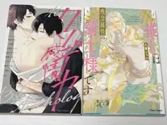 blコミック まとめ売りクソデカ感情BLコミックアンソロジー他2冊セット 漫画