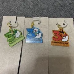 ポケモン ポケチャーム 30周年ロゴマスコット2 ツタージャ ポカブ ミジュマル